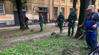 Львів'яни хочуть заборонити у Львові садових варварів з мотокосами