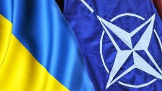 Референдум про вступ України в НАТО планують провести через 7 років