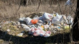 У Львові в парку виявили звалище побутових відходів
