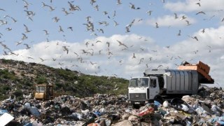 Васюник підтримує жовківських депутатів щодо закриття Грибовицького сміттєзвалища