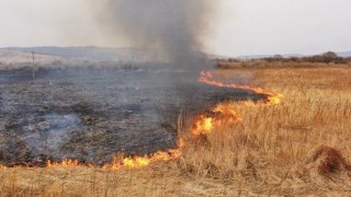 82 мешканців Львівщини засудили за підпал сухої трави