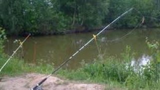 На Львівщині ловити рибу можна на Дністрі та Західному Бузі