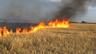 На Львівщині зафіксовано 33 пожежі сухостою