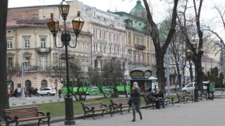 На центральних площах Львова зріжуть чотири всихаючих дерева