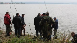 На Янівському ставі депутат організував масове розкрадання риби