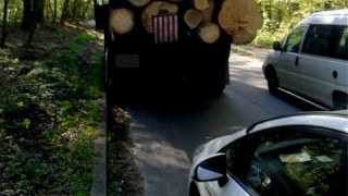 У Брюховичах п'яний водій вивозив незаконно вирубану деревину
