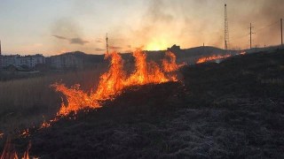 За добу на Львівщині зафіксували 12 пожеж сухостою