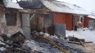 На Стрийщині у пожежі згоріли будівля та Peugeot Partner