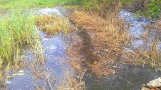 Землю біля траси Львів – Тернопіль на Пустомитівщині забруднюють стічні води