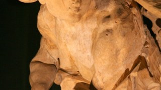 У Львові унікальні скульптури Пінзеля потерпають від дощу через відсутність даху в музеї
