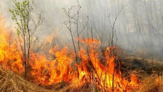 На Львівщині за спалювання сухостою штрафуватимуть до 1700 гривень