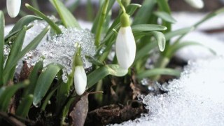 Весна на Україну прийде на початку березня