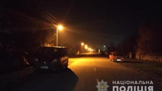 У Кам'янка-Бузькому районі в ДТП загинув пішохід