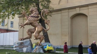 Найбільшого у Львові лева на Городоцькій одягнуть у вишиванку