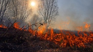 За добу на Львівщині зафіксували 6 пожеж сухостою