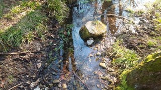 У понад 30 водойм Львівської ОТГ виявили перевищення норми забруднюючих речових