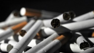 Львівські митники конфіскували понад 2,5 тис. пачок цигарок