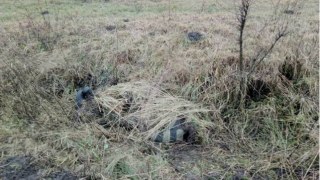 На Радехівщині зловмисник вбив пенсіонера і сховав тіло під травою