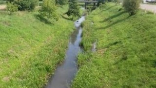 На Золочівщині філія Укрспирту забруднює місцеву річку