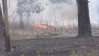 На Жовківщині згоріло 20 га лісової підстилки