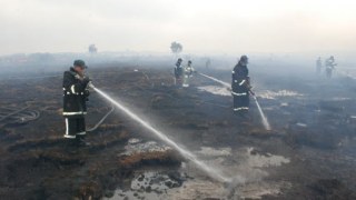 У Радехівському районі рятувальники гасили пожежу торфу
