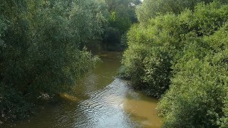 В річку Стрв'яж несе шкідливі речовини її притока з Самбірського району