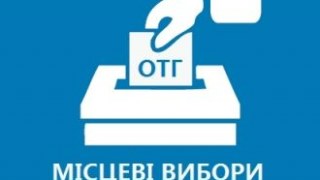 Сергій Соболєв: ЦВК офіційно визнала перемогу «Батьківщини» на виборах в ОТГ