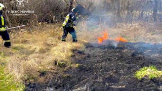 За добу на Львівщині зафіксували три пожежі сухостою