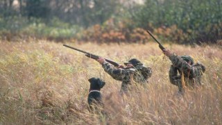 На Львівщині розпочався сезон полювання