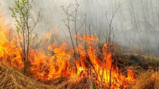 На Львівщині уражені пожежами понад 106 гектарів землі