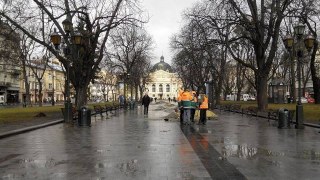 Цими вихідними у Львові запрацює снігоприбиральна техніка