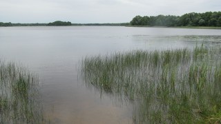 На Самбірщині у озері втопився місцевий мешанець