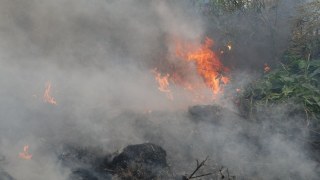 За добу на Львівщині зареєстрували 34 пожеж сухої трави