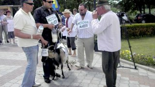 Свободівці привели до міністра аграрної політики голодну козу