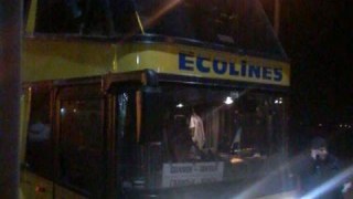 У Львові п'яні водії міжнародного автобуса спричинили ДТП