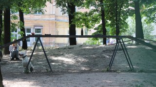У Львові просять створити більше майданчиків для вигулу собак