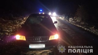 На Самбірщині п'яний водій насмерть збив пішохода