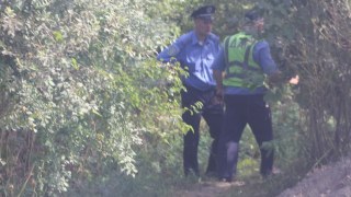 У лісі біля Львова знайшли мертву жінку