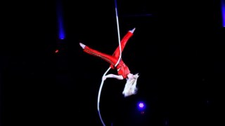 В львівському цирку травмувався акробат
