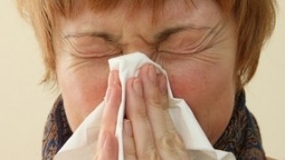 Понад 80 тис. випадків захворювання грипом зафіксовані у Польщі за останній тиждень