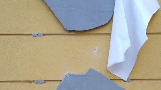 У Польщі знищили пам’ятну дошку українській художниці