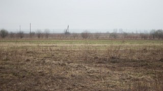 Голова одного із сіл Яворівщини дозволив незаконно приватизувати землю