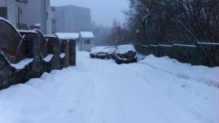 Львів засипає снігом - тролейбуси №2 і 10 вже не курсують