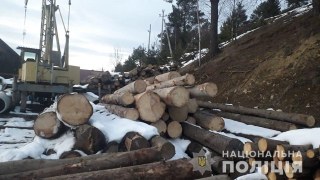 На Сколівщині виявили пилораму із нечіпованими хвойними деревами