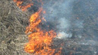 За минулу добу на Львівщині виникло 10 пожеж сухої трави