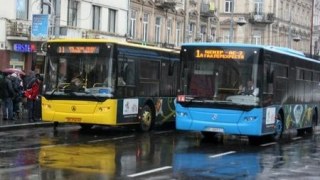 Мешканці Львова скаржаться на автобуси Львівського АТП, туристичні та приміські автобуси