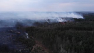 Через підпал сухої трави в Бродівському районі згоріло 60 га лісу