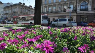 У Львові до Великодня висадили більше 3 тис. квітів