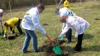 20 квітня на Львівщині проведуть День Довкілля