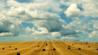 Аграрії Західної України очікують непоганий врожай зернових  - Олег Баран